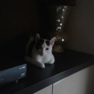 Unser neues deko 😂