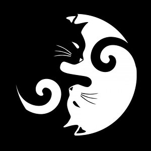 Yin & Yang