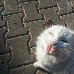 1. Begegnung auf der Straße