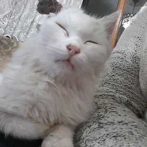 1. Tag bei mir (vor der OP)