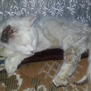 2. Tag bei mir (vor der OP)