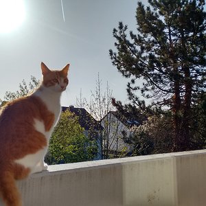 IMG 20160420 090235217 HDR