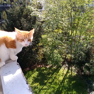 IMG 20160504 102340253