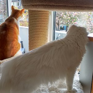 IMG 20160503 110351327 HDR