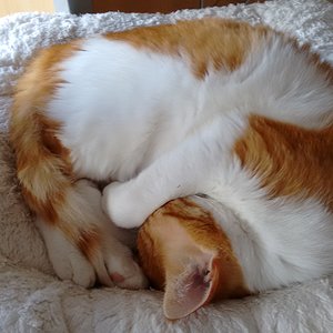 IMG 20160428 125310004