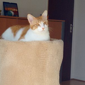 IMG 20160422 104457487