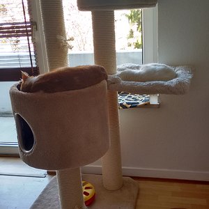 IMG 20160421 141008168 HDR