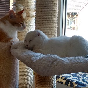 IMG 20160421 131615544 HDR