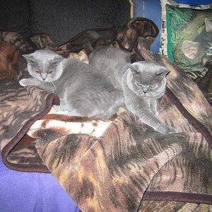 Bosso & Mia mal friedlich