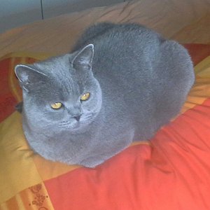 Spieglein,Spieglein an der Wand......wer ist die Schönste im ganzen Land??