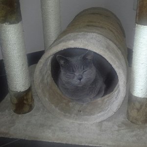 Hier fühle ich mich sicher.