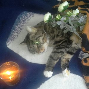 Wir werden dich nie vergessen. Du warst unser Sonnenschein.Danke für dein grenzenloses Vertrauen. Da wo du jetzt bist wirst du auf uns warten.