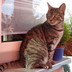 Datensicherung 5.9.2010 505