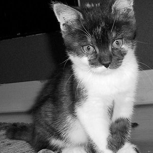 Da war sie noch mein kleines Baby...