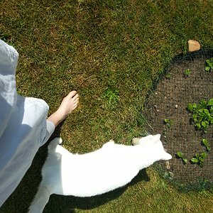 Vorsichtige Stipvisite bei den Keimlingen.