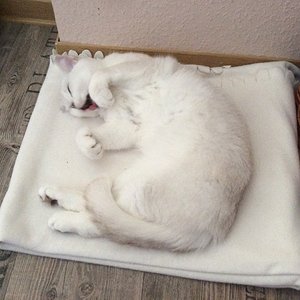 Meine Schmusedecke ganz für mich allein 😄