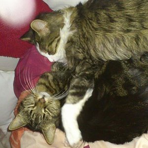 so en Mist...erwischt