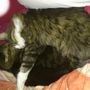 kuscheln...kuscheln, kuscheln