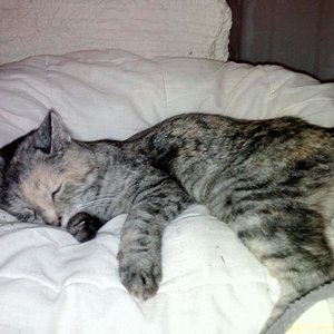 WhatsApp Image 2016 11 10 at 18.44.00