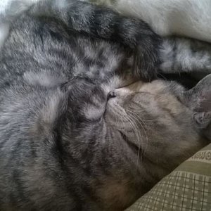 WhatsApp Image 2016 11 10 at 09.58.09