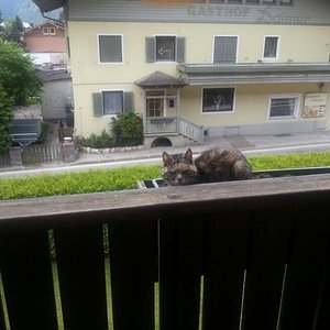 WhatsApp Image 2016 11 10 at 09.58.19