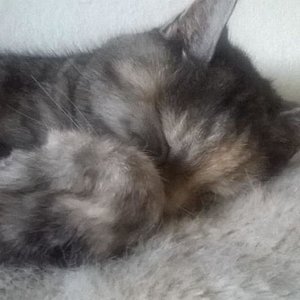 WhatsApp Image 2016 11 10 at 09.54.03