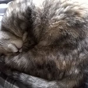 WhatsApp Image 2016 11 10 at 09.54.18