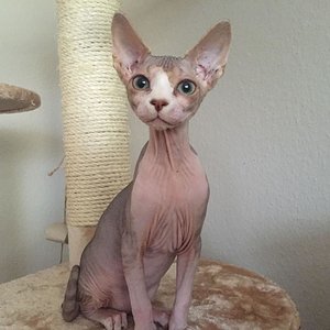 Unsere kleine Prinzessin