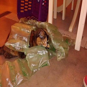 k user31950 pic14580 1482863319