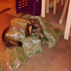 k user31950 pic14582 1482863648