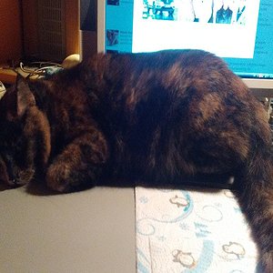 k user31950 pic14584 1482863877