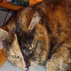 k user31950 pic14585 1482863955