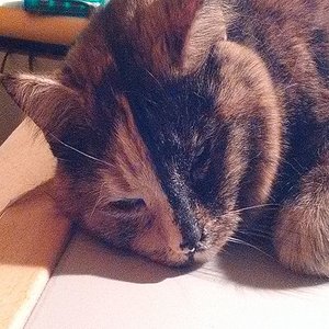 k user31950 pic14586 1482864075