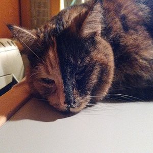 k user31950 pic14587 1482864180