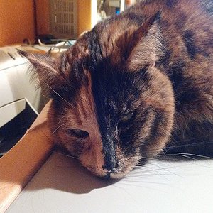 k user31950 pic14589 1482864382