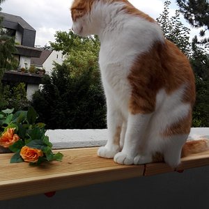 Theo auf dem Wachposten