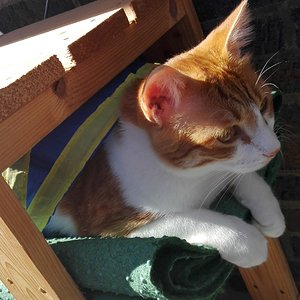 Theo im Rascheltunnel