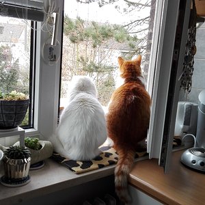 Popo im Warmen und trotzdem alles im Blick