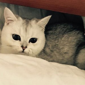 Am ersten Tag in der neuen Wohnung...