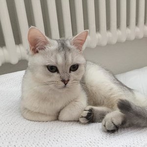 Auf eine, Stapel Kissen schläft's sich am Besten!