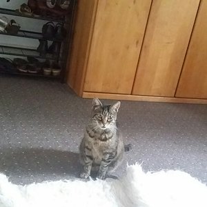 Hallo ? Spielt hier endlich mal jemand mit mir ?