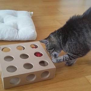 Mmmmmh, Leckerlies angeln