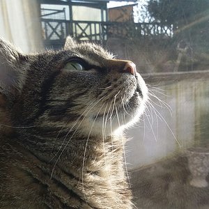 Dreh mal da oben den Hebel um, damit ich raus kann