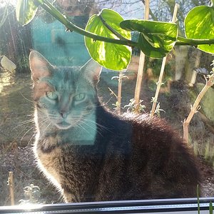 Vorm Fenster rein schaun ist auch ganz lustig