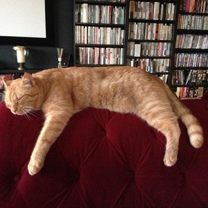 Paul beim Mittagsbubu