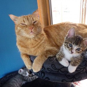 Paul und Jaspar(Jaspar & Schwester Lucky vermittelt)