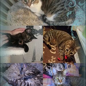 Meine fünf Süßen :-*