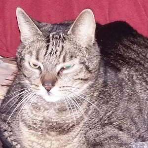 Das ist unser Moritz, der leider Krank ist. Um den es auch geht in unserem Anliegen.