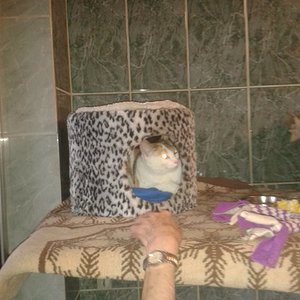 Flöckchen im Tierheim