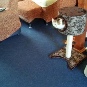 Schöner Ausblick aus meiner Hölle.